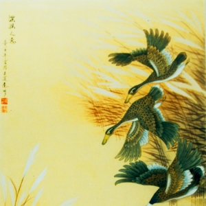 &#31859;&#20848;&#24179;&#21488;&#45;&#31859;&#20848;&#40;&#20013;&#22269;&#41;